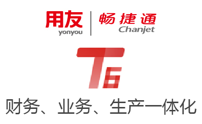 暢捷通T6